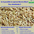 TummyFriendly Foods Certified Organic Sprouted Brown Rice | Red Lentil | Spinach | Green Peas Porridge Mix